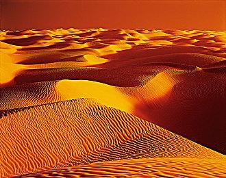 《森林之子》女野人怎么驯服？森林2女野人驯服位置